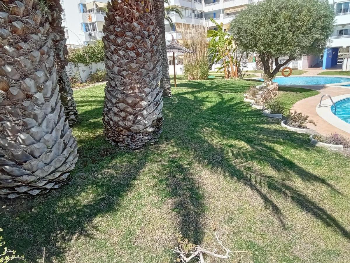 Apartamento La Nina, La Playa Paraiso A 100 Mts. ビリャホヨサ エクステリア 写真